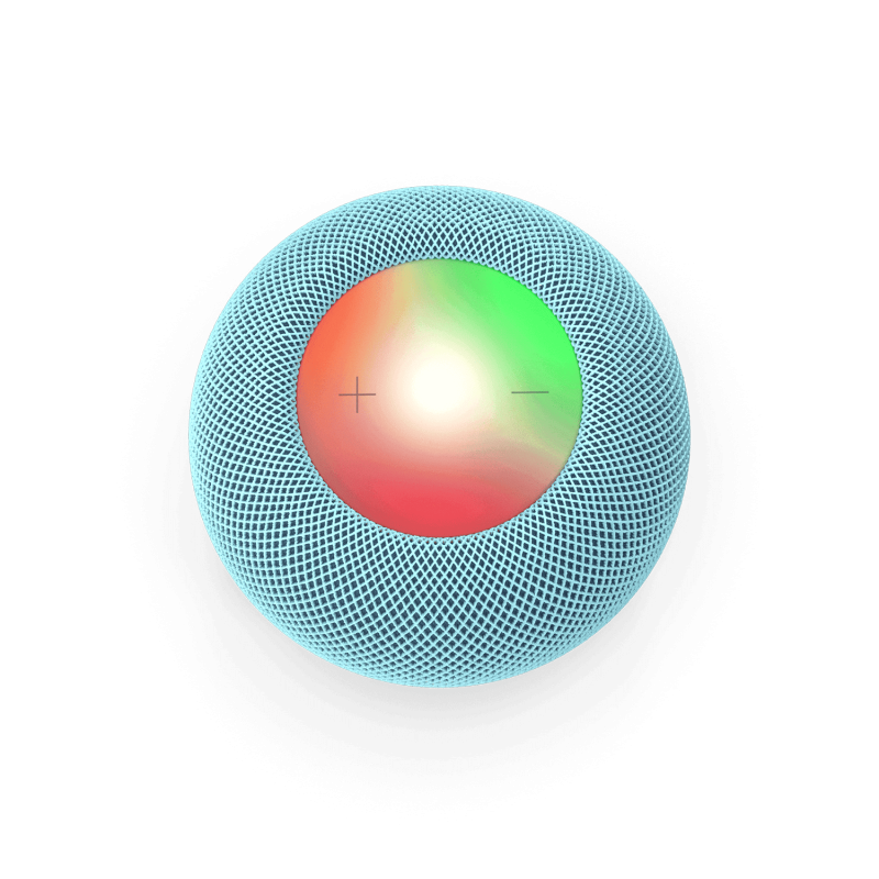 Voice Assistant Voice Assistant