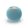 Voice Assistant