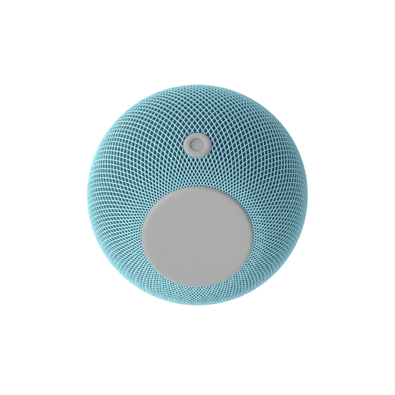 Voice Assistant Voice Assistant